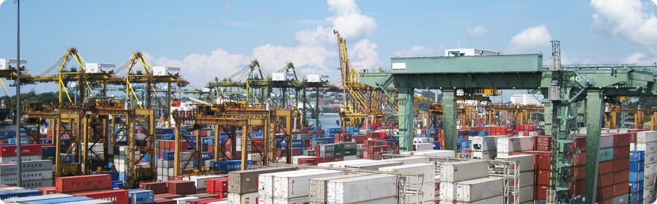 Local Knowledge with Global Expertise